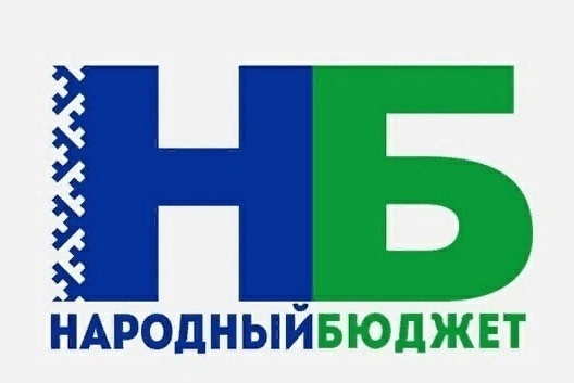 Народный бюджет.